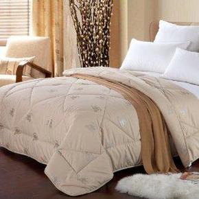 维众 家纺 阿尔善 保暖冬被双人200cm*230cm 折93元(155，2件6折)