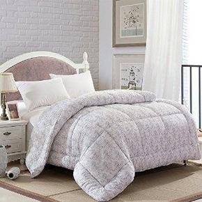 远梦家纺 怀贝品牌单人加厚冬被 舒适温馨被150*215cm 折47元(79，2件6折)