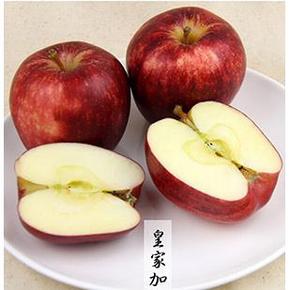 智利进口 姬娜果6个装 约900g/份 19.9元包邮