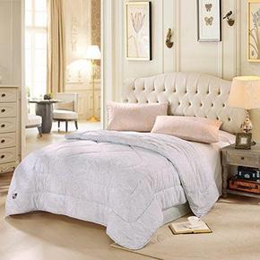 LOVO罗莱家纺 双人被芯春秋被200x230cm+全棉抱枕 102元(202-100券)