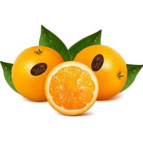 江浙沪包邮！特大埃及橙 6个/份（3斤）19.9元包邮