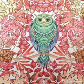 促销活动：当当网 涂色书专场 满100减50，满200减100