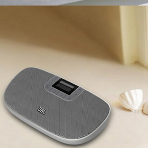 JBL SD-31 SLV便携式插卡音箱(FM/时钟/收音/播放器)  169元(199-30)