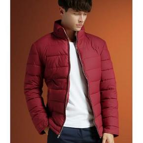 IFZ 青少年立领男士棉衣 2015新款 多色可选 49元包邮(99-50券)