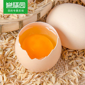 双11预售# 橘园 土鸡蛋40枚 40元(6定金+34尾款)