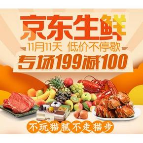 促销活动：京东 生鲜专场 满199-100