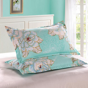 敏洁昊 纯棉加厚枕套 48*74cm 2个装 15.6元包邮