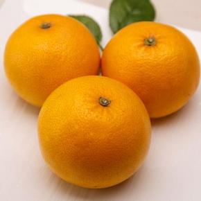 2015 胡柚常山 常山胡柚5斤装  10.94元包邮