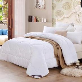 BEYOND 博洋家纺 单人被芯 怡雅四季被 150x210cm  99元包邮