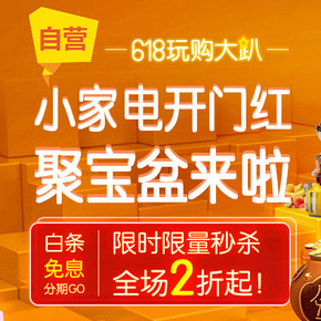 618王牌栏目！京东 小家电开门红 聚宝盆来拉，2折秒杀！
