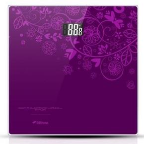 手机端：德尔玛 精准体重秤 EV15 19.9元